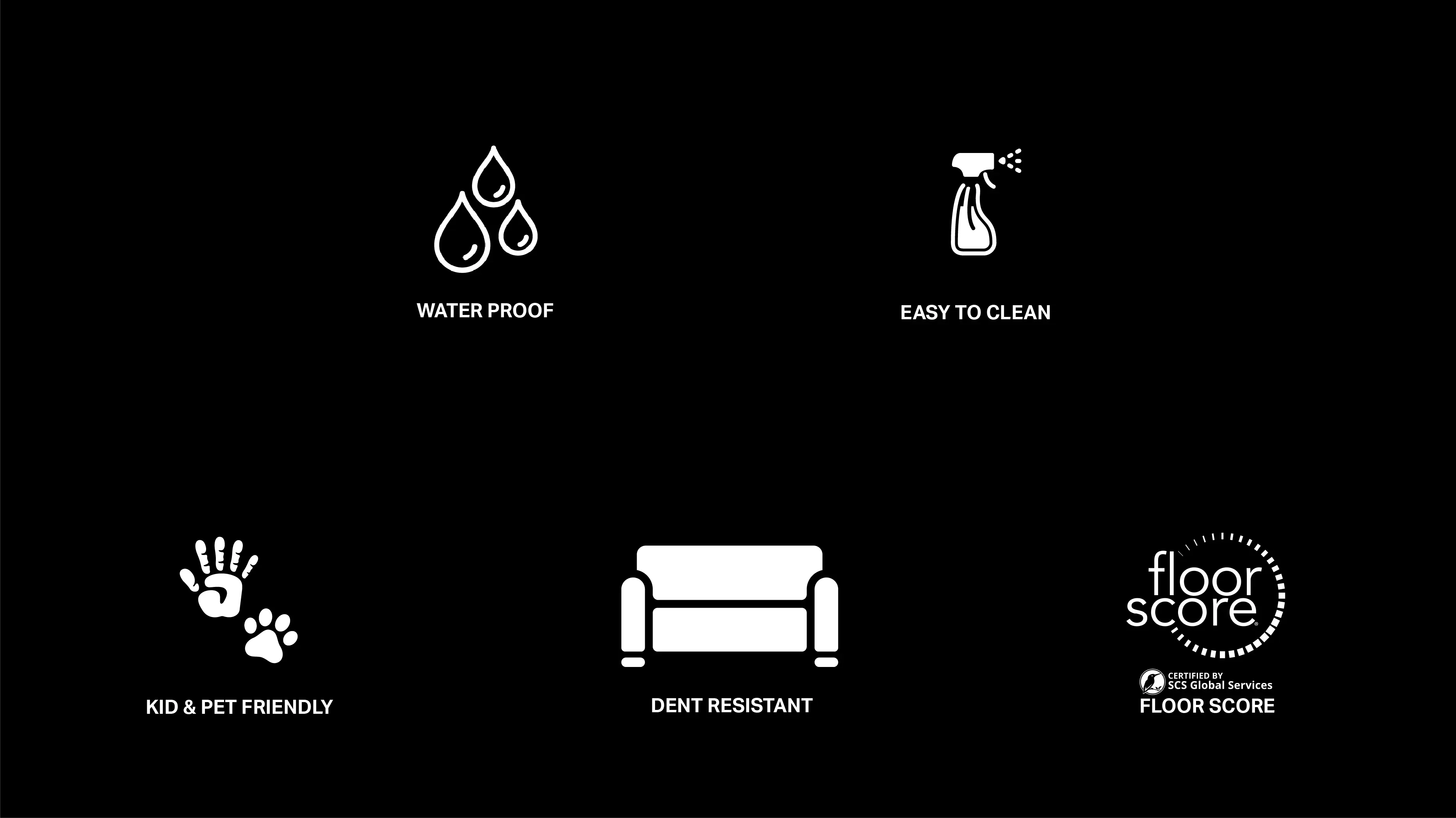 Curio Icon - Beauflor USA