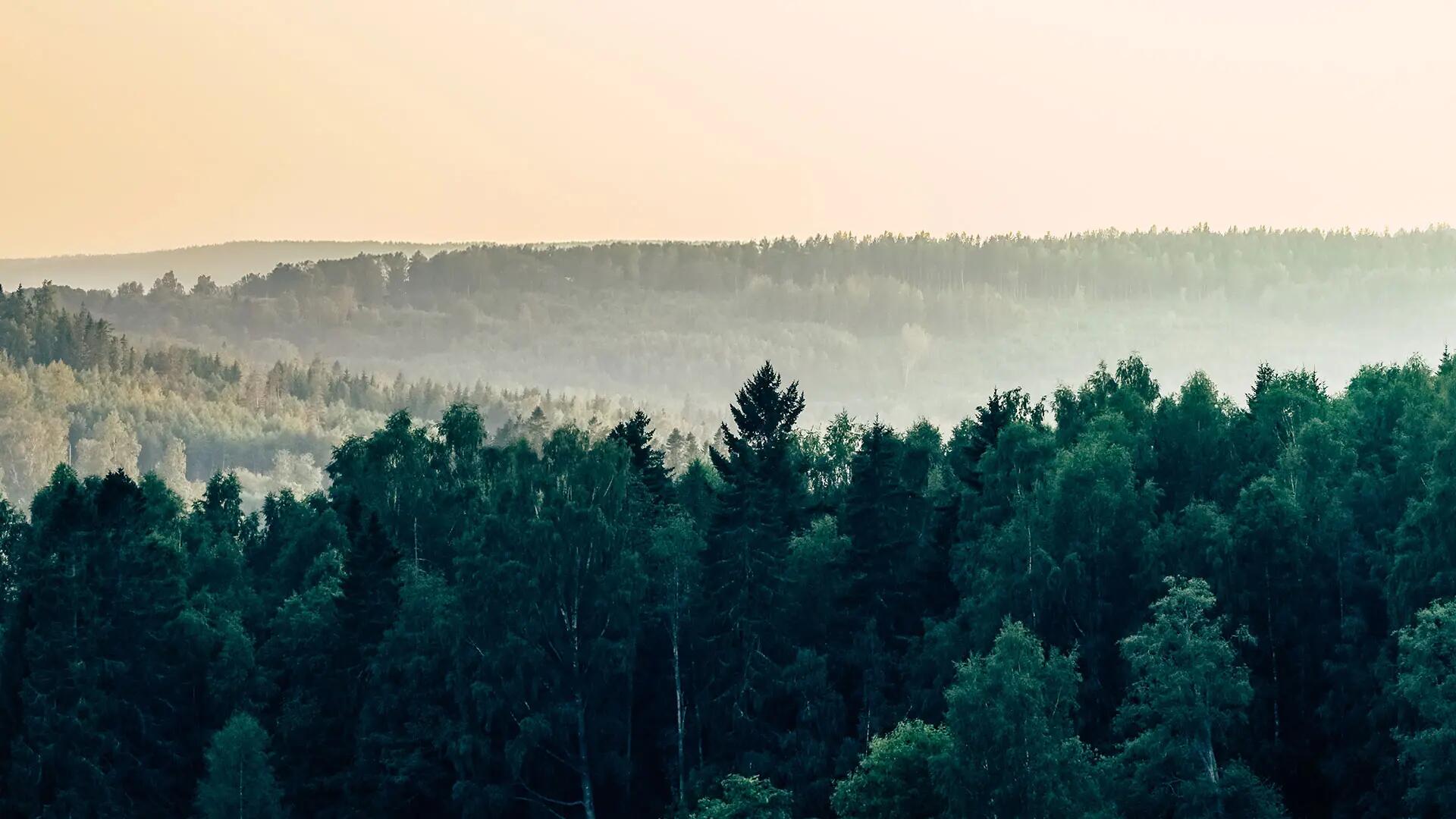 Sustainability | Beaulieu