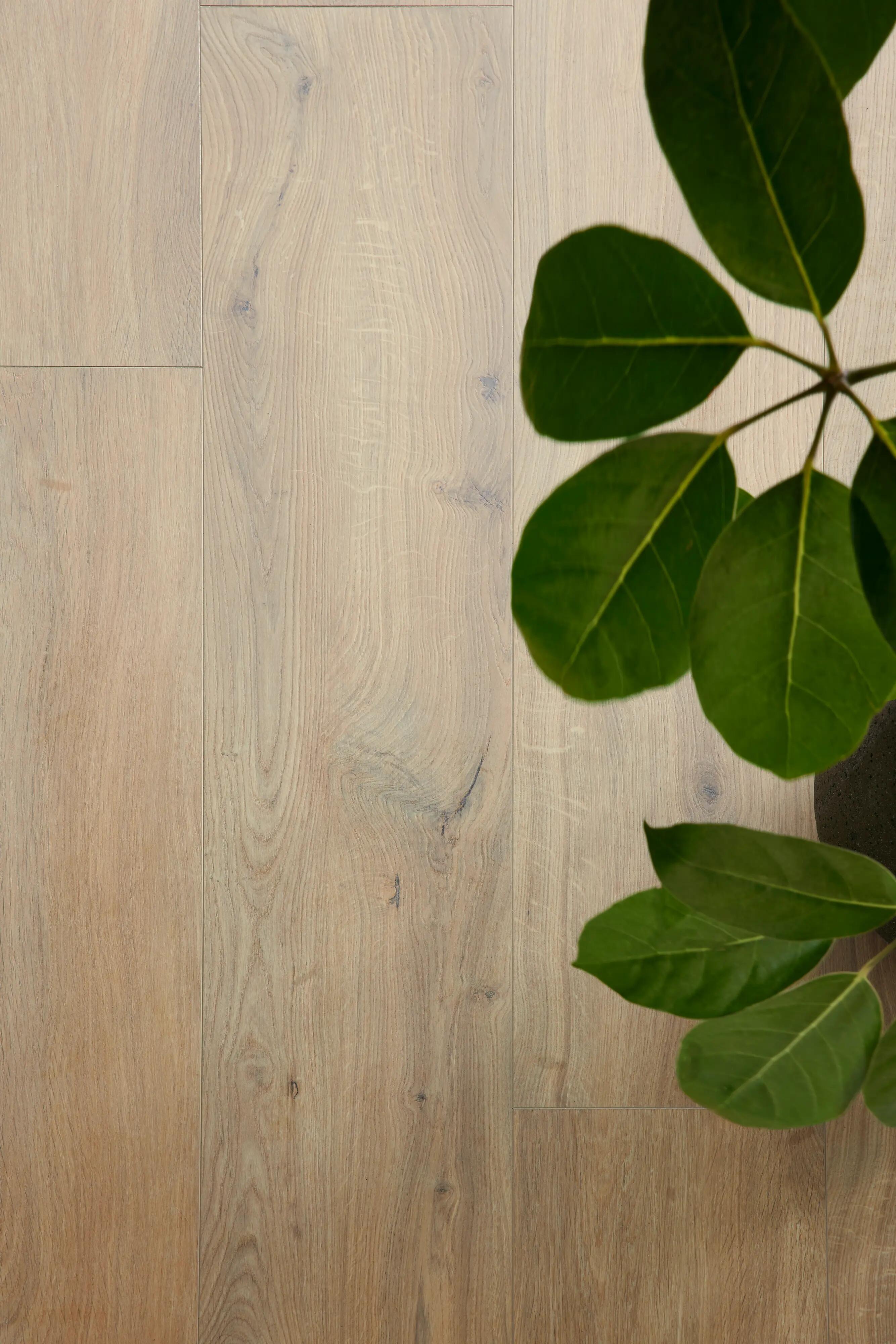 BerryAlloc - Laminate Floors