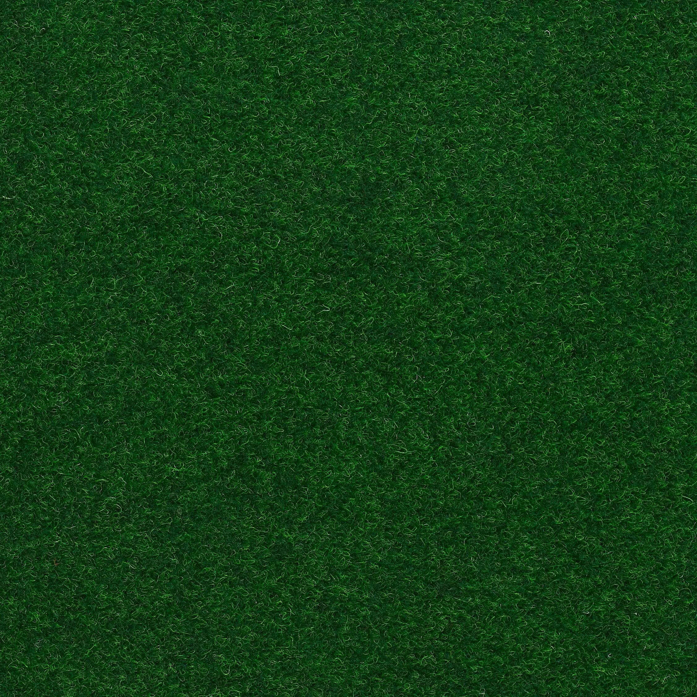 Meadow