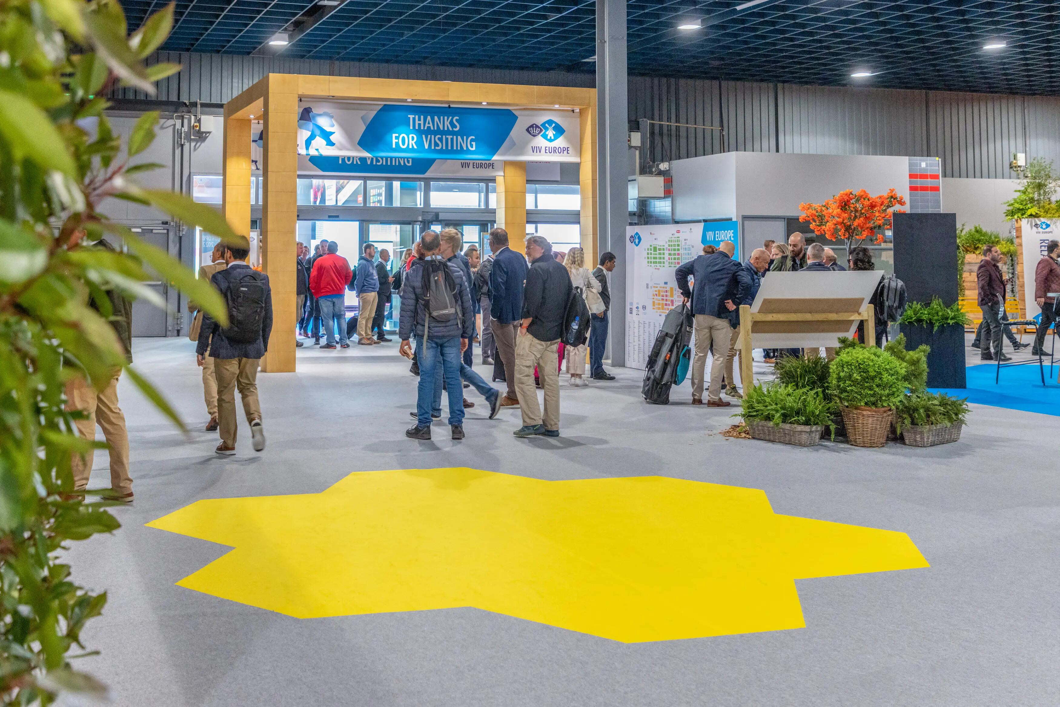 Rewind Event - Beaulieu Needlefelt