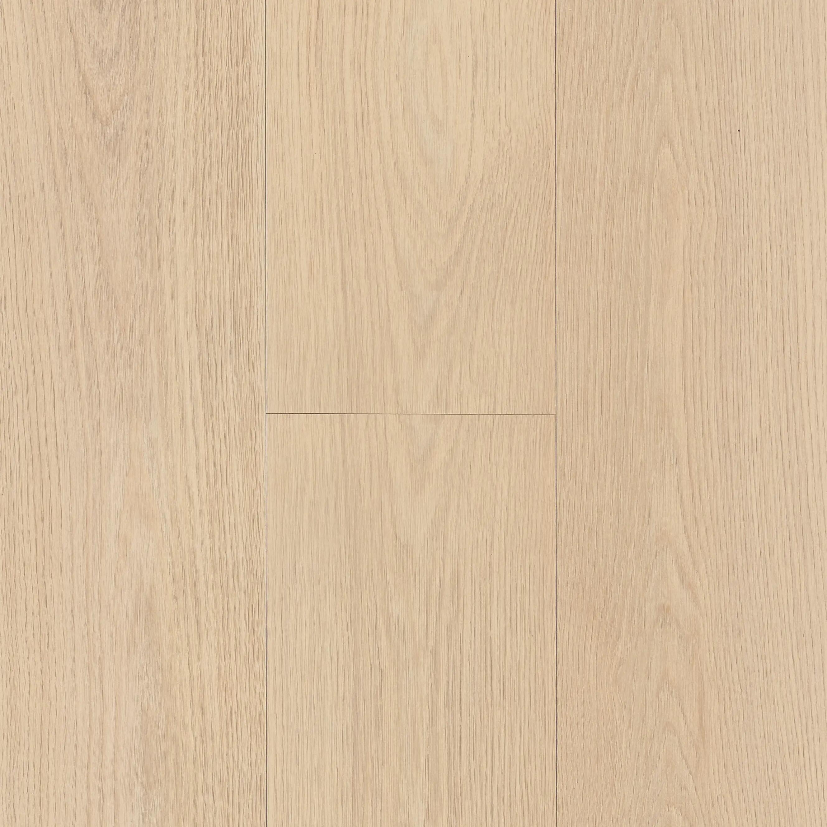 Saga Oak