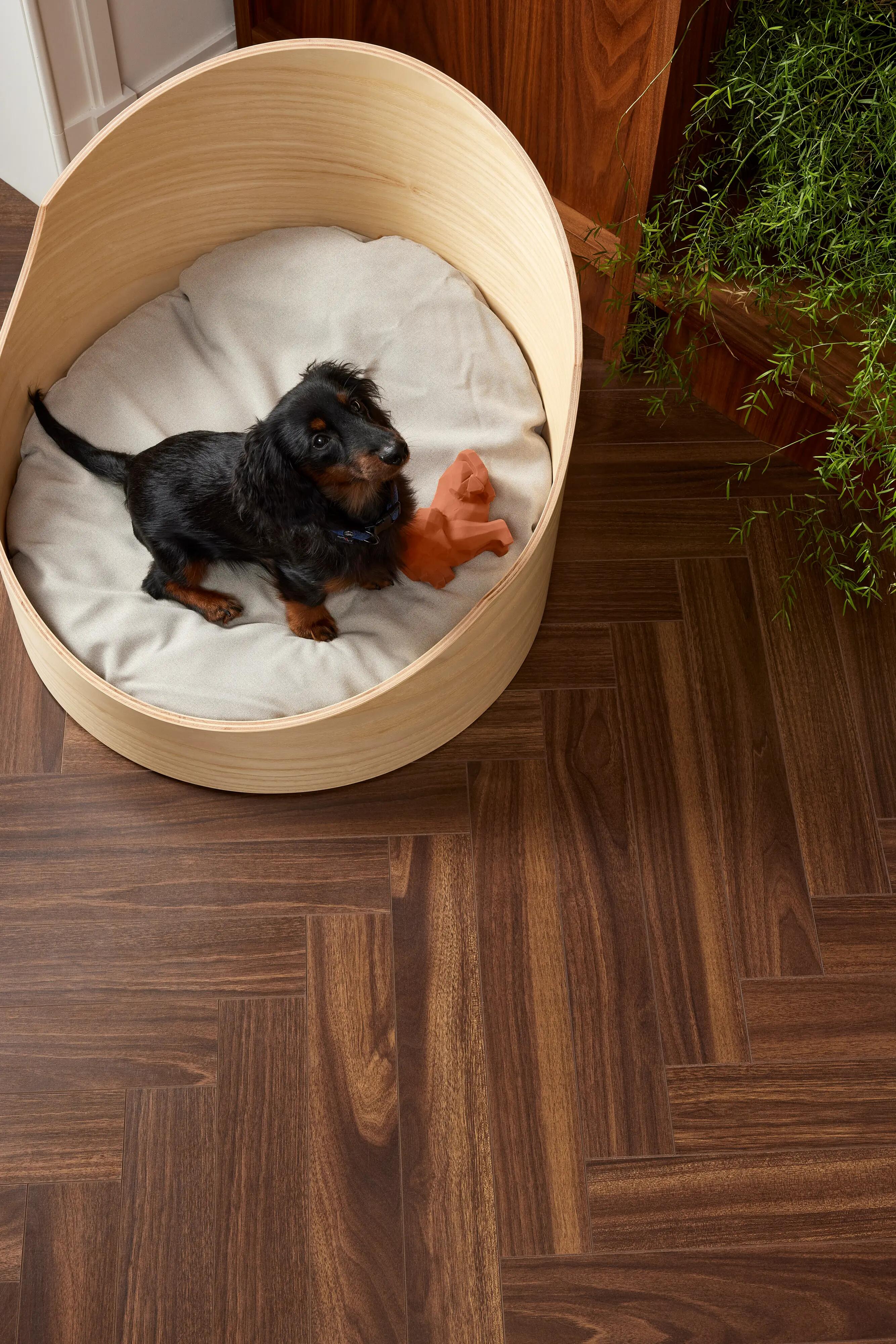 ¿Cuál es el mejor suelo para las mascotas?