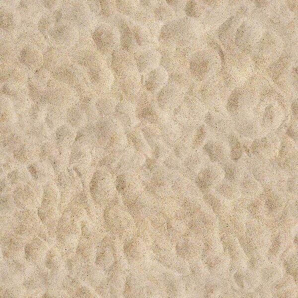 GreenDay x Verdy Type-B (Sand Beige) XL