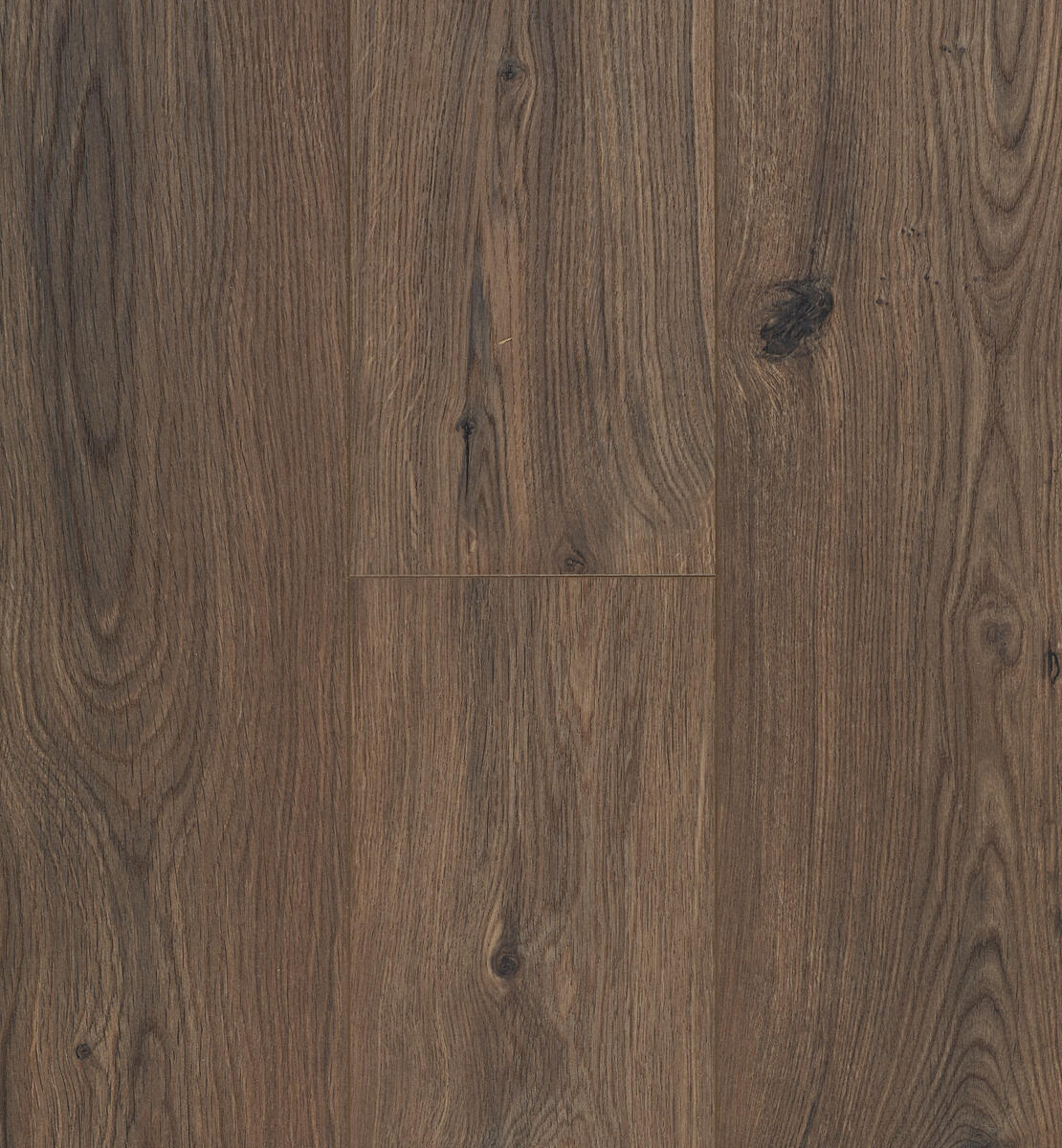 Ocean 8 V4 Gyant Dark Brown