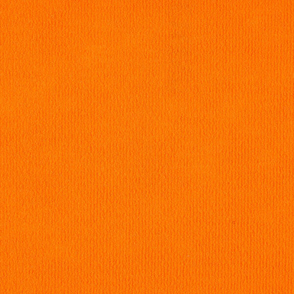 Rewind Rib 0450 - Beaulieu Needlefelt