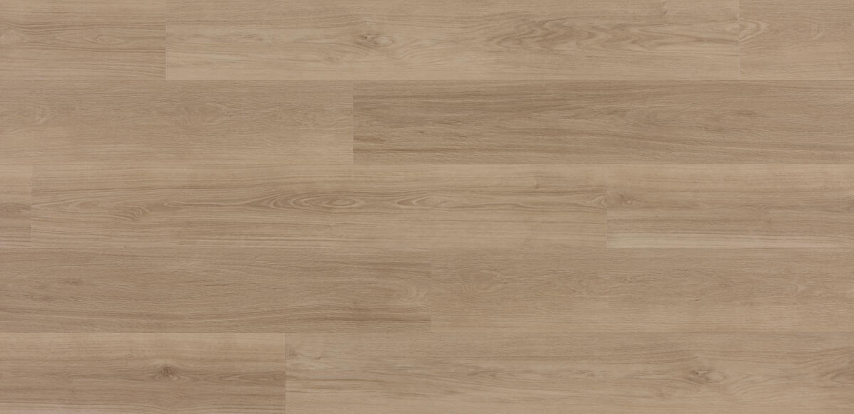 ラガルン Zenn Click Comfort 55 Plank Orlando